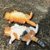 Изысканная модель кошки из ПВХ, имитация сиамской, рэгдолл, персидской кошки, реалистичные фигурки кошек, статуэтка кошки, украшение, игрушка