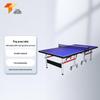 Tagong Standard Foldable Indoor Table Tennis Table