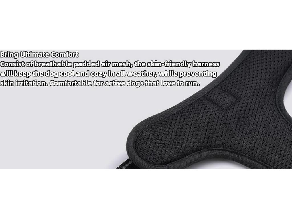 Нейлоновая шлейка для груди и поводок для крупных питомцев