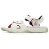Acg Air Deschutz Sail Spruce Aura CT2890-001