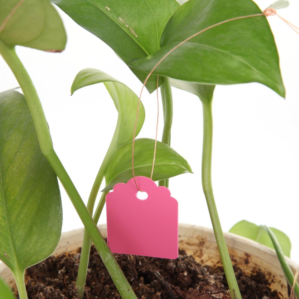 100pcs Garden Plant Labels PVC Nursery Garden Labels Hanging Plant Markers DIY Seedlings Labels for Plants Garden