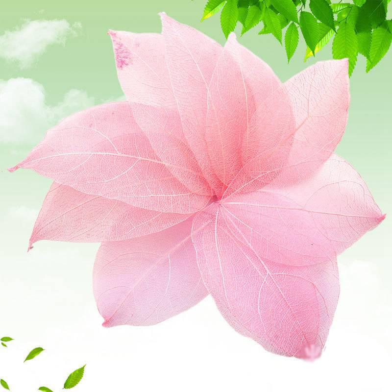 Тиснение 30 шт. Сухоцветы Чехол для телефона DIY Орнамент Аксессуары Ручная работа Материал Натуральный Алмаз Вены Изготовление Тиснение