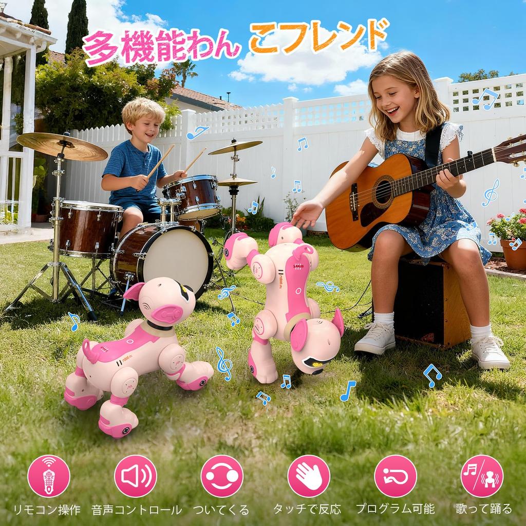 Robot Musical Voice Follows Interactive Toy for Boys and Birthday Soothing Christmas Gift for Kids and the Family Dog, Playing, Programmable,