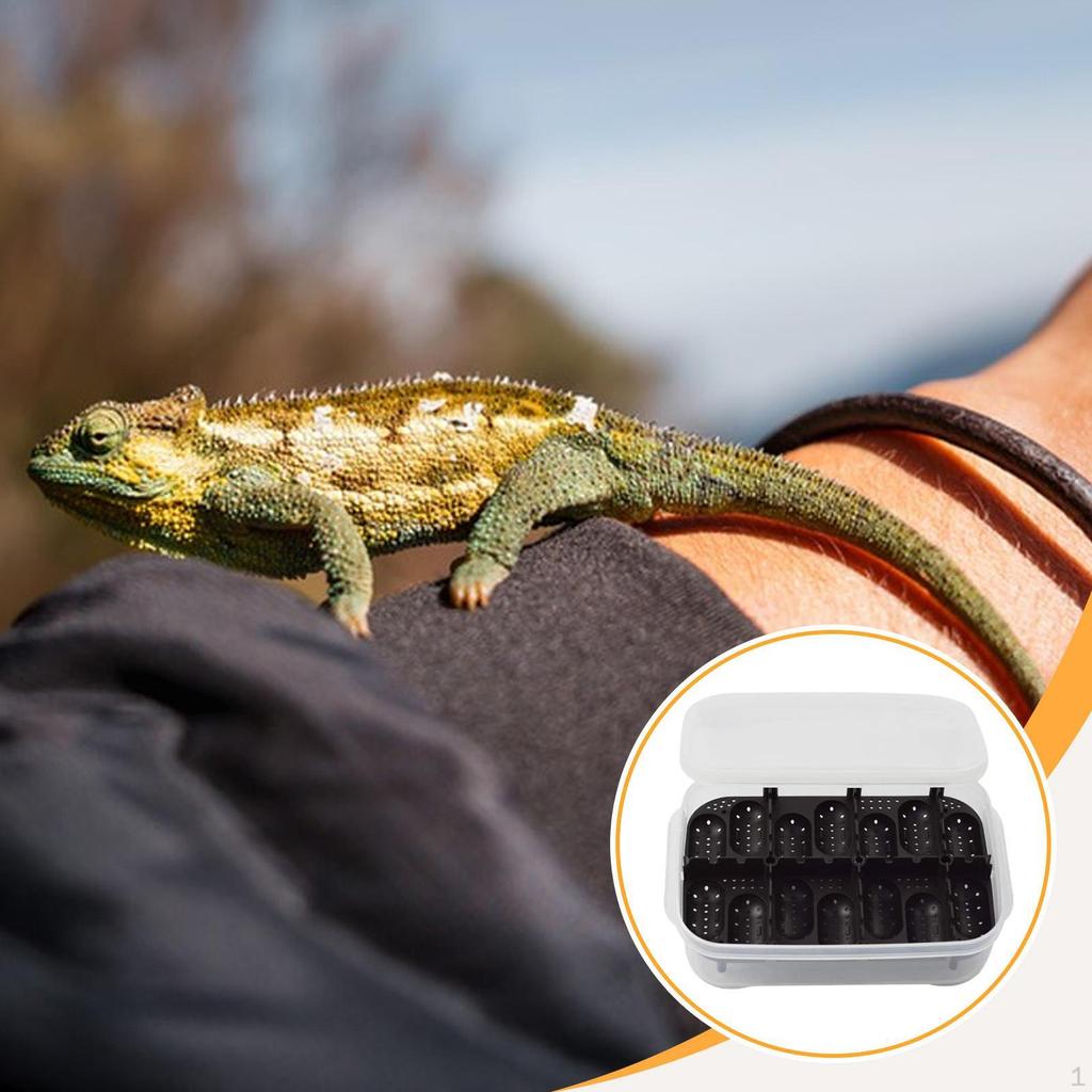 Инкубатор для рептилий, контейнер на 14 ячеек, принадлежности, инкубационный кейс для гекконов, черепах, ящериц