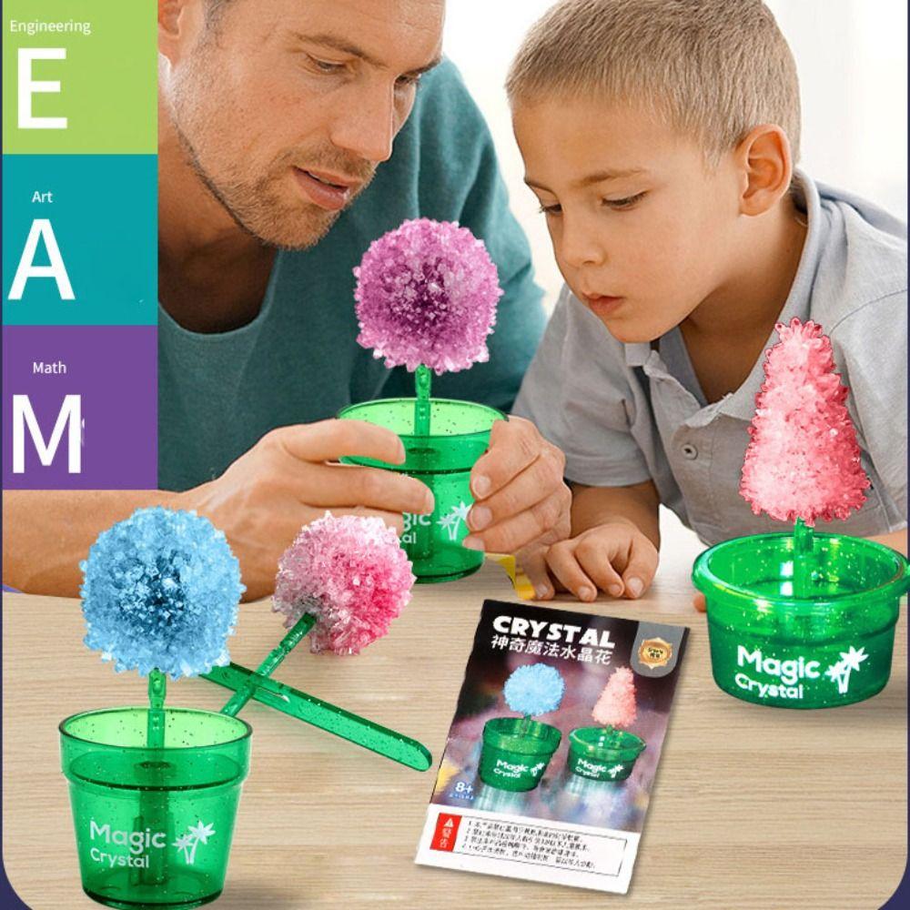 Colored Crystals Crystal Trees Growing Kit Flower Shaped Crystal Making Kit Girls