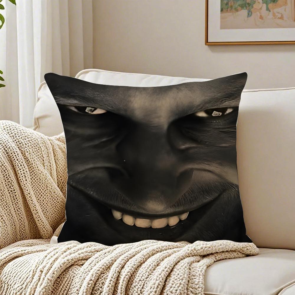 James Singer RRichard DDavid Cushion Cover Linen Pillowcase Soft for Sofa Bed Home Room Decor