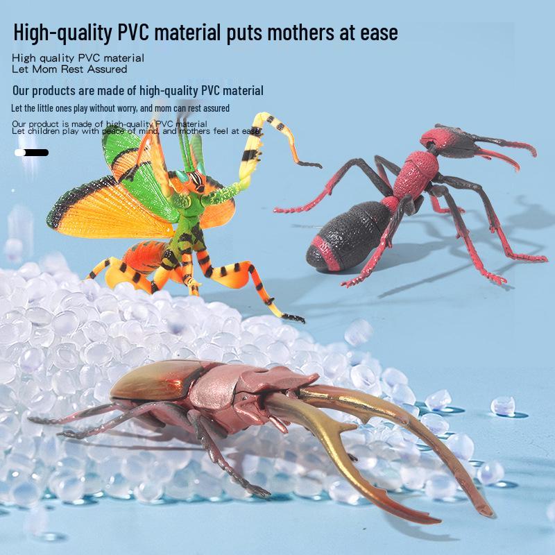 Детская трансграничная модель животного жука - Реалистичная игрушка-насекомое из твердого пластика