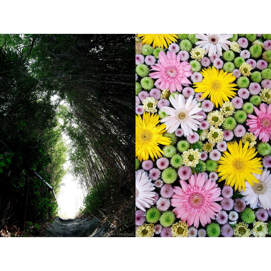 Sigma SIGMA RF Mount Lens DC DN Zoom Wide Angle Cantemporary Mirrorless Only 10-18mm F2.8 APS-C