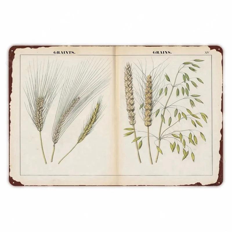 Ретро плакат с овощами и растениями, винтажный металлический жестяной знак с фруктами, настенная вывеска с цветной капустой, садовая кухонная ферма, цветы, тарелка, декор