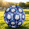 Футбольный мяч Everton Football, размер 5, с принтом, противоскользящий, для взрослых, сувенир для футбольных фанатов