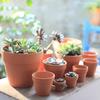 Nordic Terracotta Planter Pot with Tray, 2-Pack