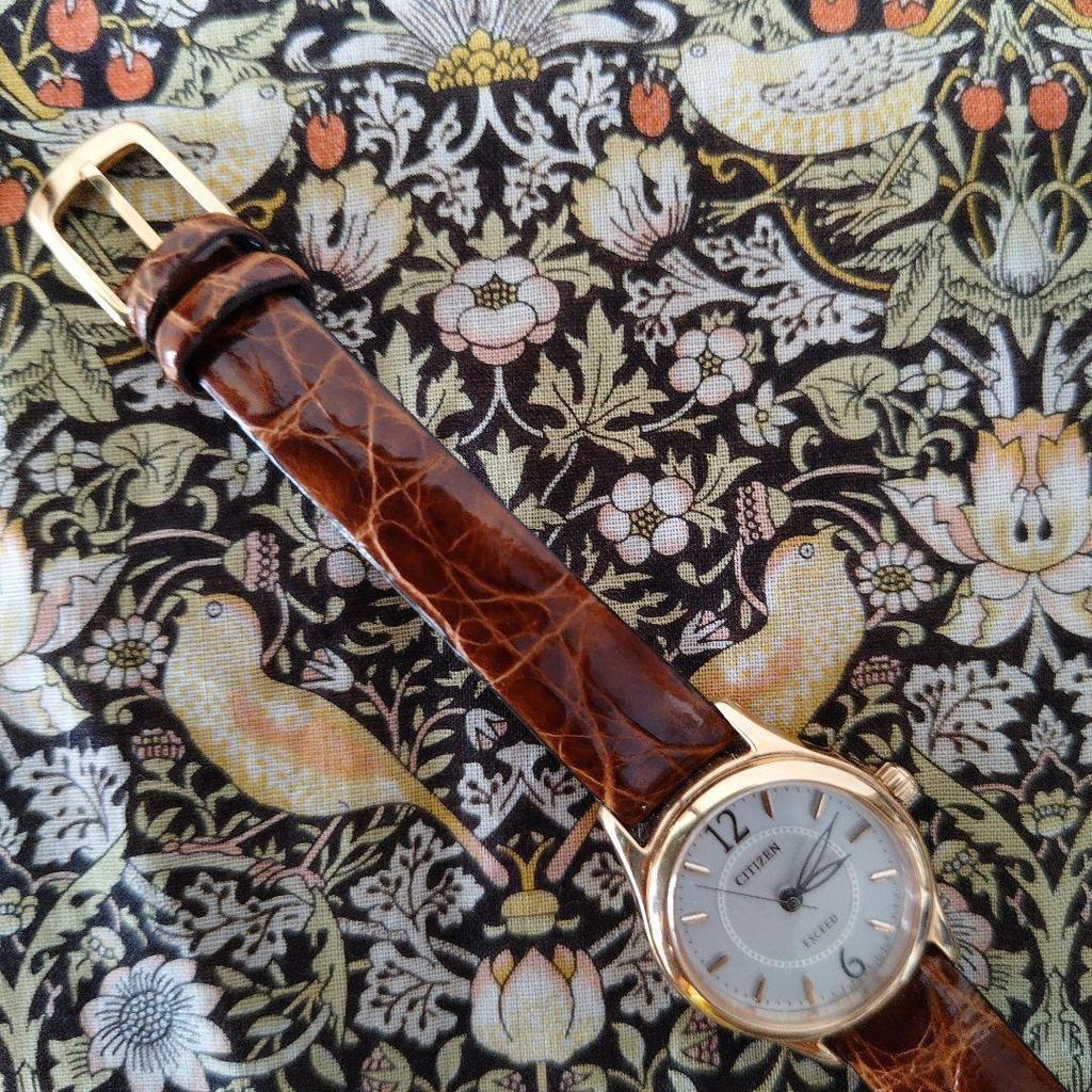 Used Citizen EXCEED Eco-Drive watch