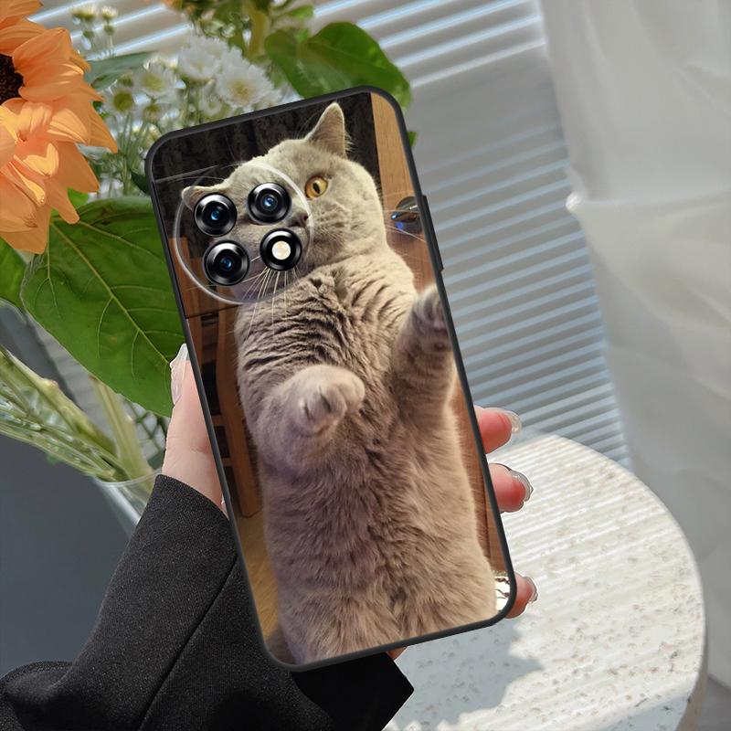 Чехол для телефона OnePlus с изображением британской короткошерстной кошки для моделей 15R 15 13R 12R 10R 13 13T 12 11 10 10T 8T Nord CE 5 2 3 4 Lite N20 N30