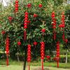 Chinese Style Red Ball Lantern String Fu Character Door Lantern Pendant  Wedding