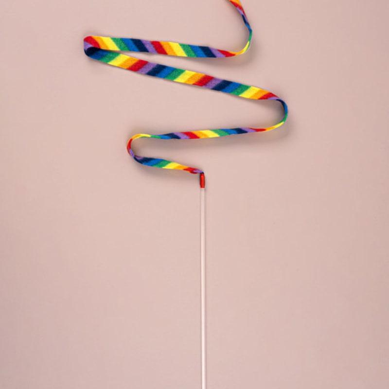 Удочка для ловли рыбы в виде кошачьей ленты (1000)