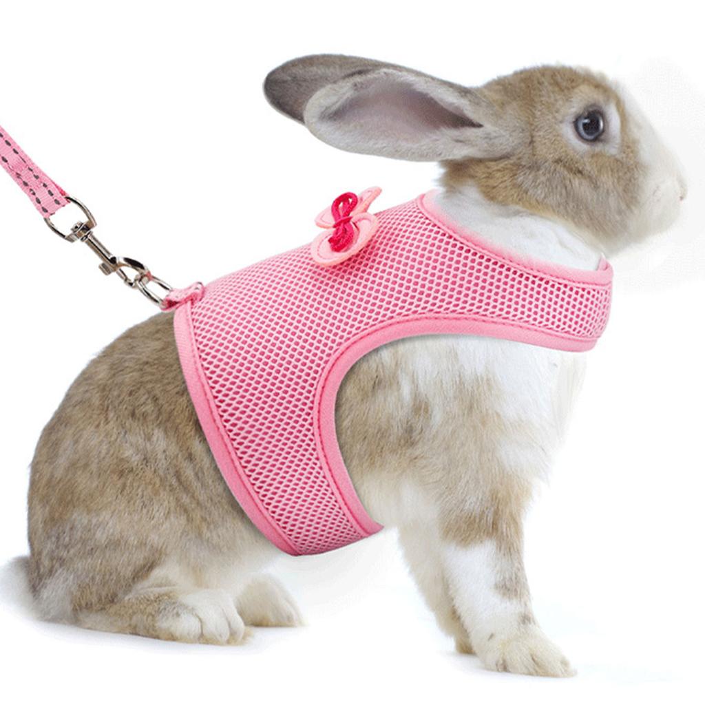 Breathable Mesh Harness and Leash Set for Rabbits Ferrets with Adjustable Size for Various Season Small Animal Supply