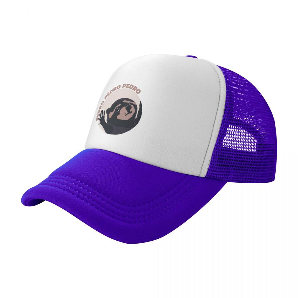 Pedro Raccoon Dancing Meme Baseball Cap Wild Ball Hat Golf Man Cosplay Male Womens
