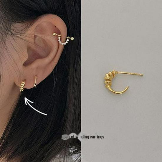 Exquisite Small 925 Silver Diamond Earrings for Women - Korean Style