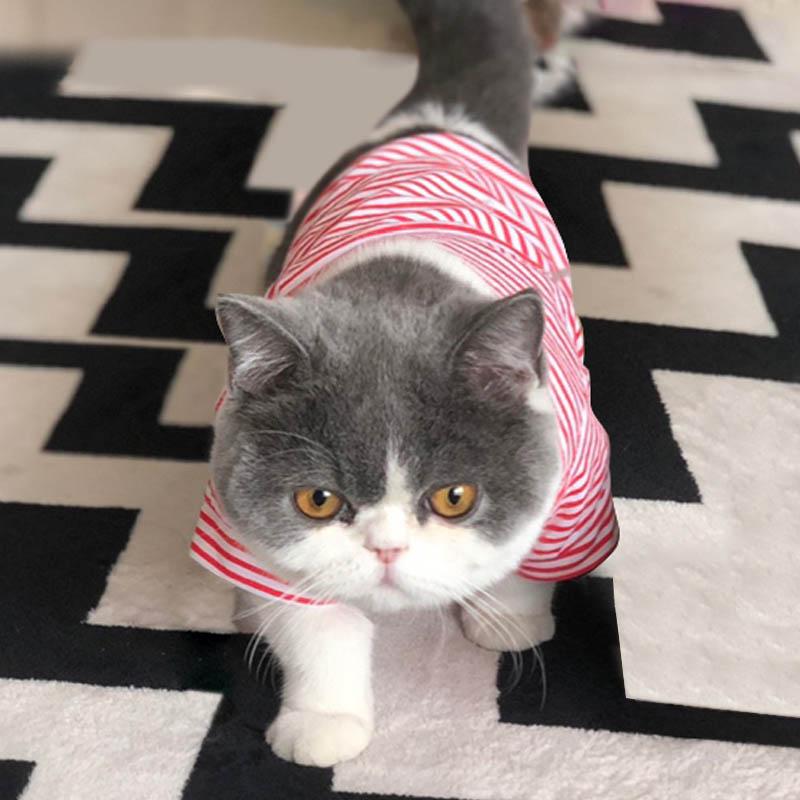 Plaid Cat Clothes Autumn Winter Pet Clothing for Small Cats Dogs Cotton Cat Costumes Soft Kitten Kitty Coat Jacket Puppy Outfit