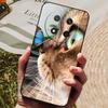 Чехол для Honor Magic7 Lite 5G Мягкая силиконовая задняя крышка из ТПУ для чехлов телефона Honor Magic 7 Lite Magic7Lite 7Lite Милый мультфильм