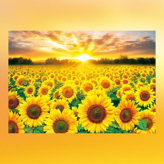Toy & Puzzle Noeuljin Sunflower Jigsaw Puzzle, Korean Popular Puzzles