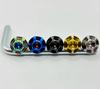 Kuroobaa Titanium Motorcycle License Plate Bolts M6x15mm Snowflake Design, Set of 2 (Rainbow)