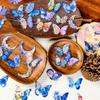 56 Прозрачные ПЭТ-наклейки Синяя Бабочка Ветер Литературный Ландшафт Креативная Декоративная Наклейка Партия