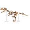  Набор из 2 моделей скелетов динозавров Nanoblock Dinosaur Deluxe Edition Tyrannosaurus Rex и Tyrannosaurus A004