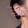 Women's High-End Plain Hoop Earrings: Light Luxury Ear Drops & Studs, Niche Design for Autumn/Winter.