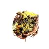 Wulfenite + Mimetite 2392.5 Carats