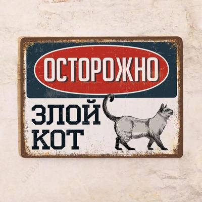 Жестяная табличка "Злой кот", Забавный металлический декор для стен с домашними животными 20x30 см
