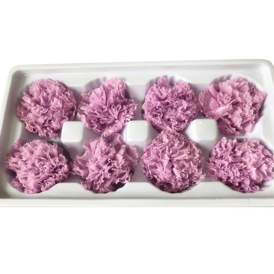 8Pcs Preserved Flower Head Carnation Decorative Dried Flower Mothers Day Gift Box Flower for Mother