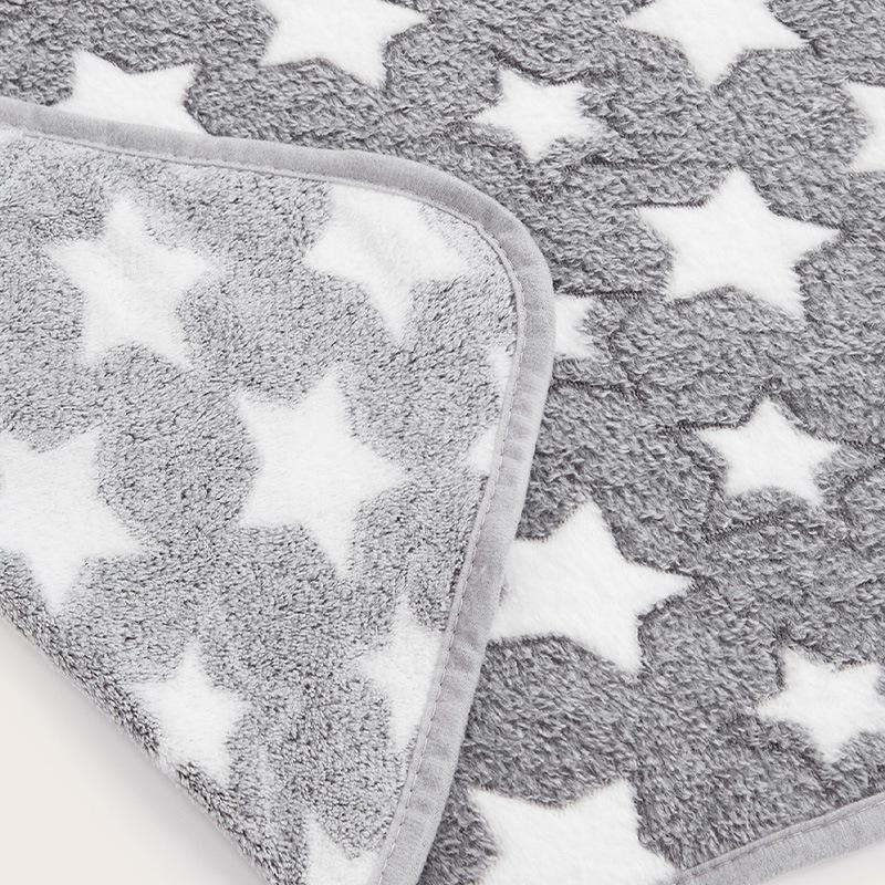 Four Seasons Pet Blanket: Warm Coral Fleece for Cats and Dogs