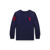 Polo Ralph Lauren Boys Big Pony CoTTon Jersey T shirT cwpoTshb8020979410