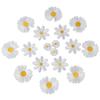 White Daisy Flower Patch  Patches Delicate Iron On  T-shirt