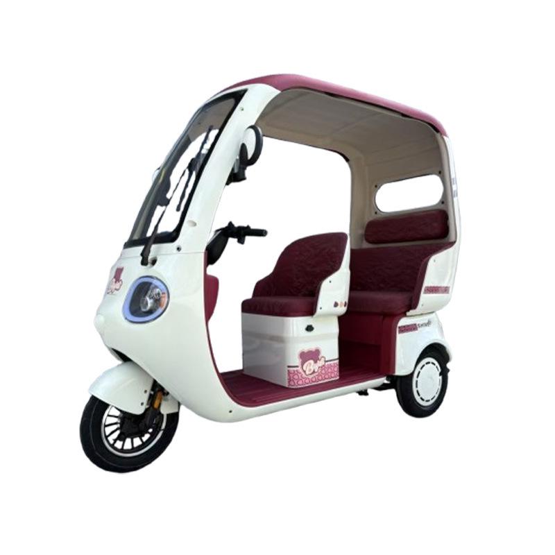 Electric Canopy Tricycle: Family Commuter & Child Transport