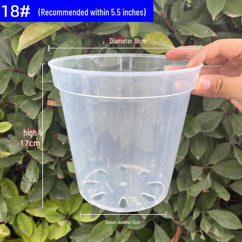 Clear Plastic Orchid Pot: Sphagnum Moss, Square & Round Design for Phalaenopsis or Fish Tanks