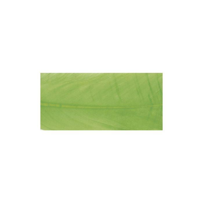 Plume d'oie, vert tilleul, 16 - 20 cm, 8 pces