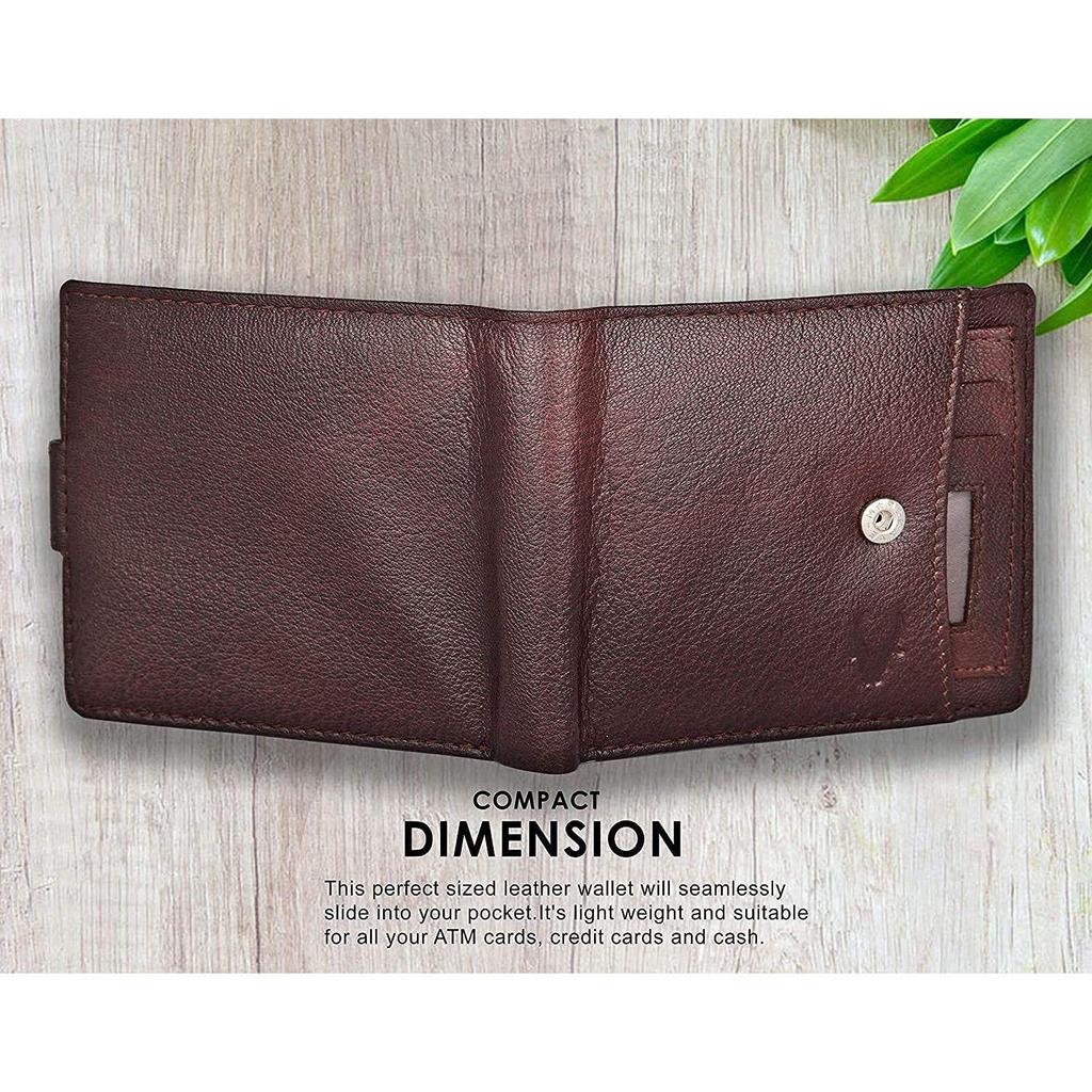WildHorn Brown Leather Wallet for Men