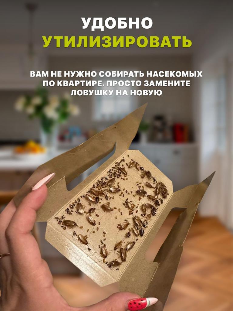 Клеевые ловушки для тараканов с пищевой приманкой, 10 шт.