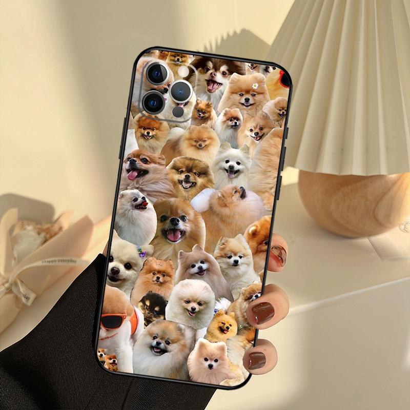 Pomeranian Dogs Dog Colorful Phone Case For iPhone 13 16 15 11 12 14 17 Pro Max 12 mini 15 16 Plus 16e 17 Air Cover Funda