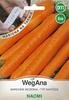 Naomi Early Carrot Seeds On a 6 M Tape Carrot Seeds -