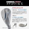 Kasco Dolphin Wedge DW-123 N.S.PRO Zelos6 Ladies Design 54 Degree Golf Club