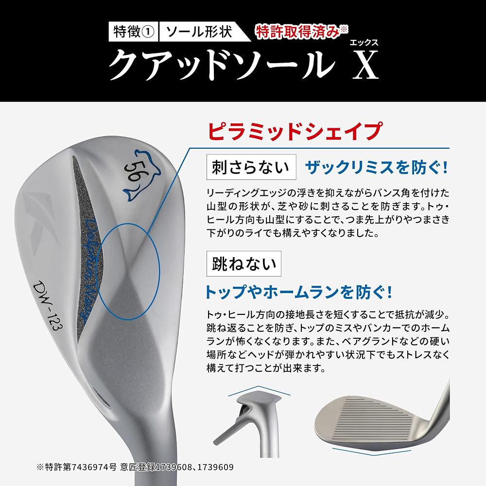 Kasco Dolphin Wedge DW-123 N.S.PRO Zelos6 Ladies Design 54 Degree Golf Club