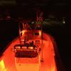 4x LED Boat Light Silver Waterproof Underwater For RXP-X 260 AMPHIBIANS QUADSKI  Seadoo RXT-X  Seadoo GTX WaveRunner PWC
