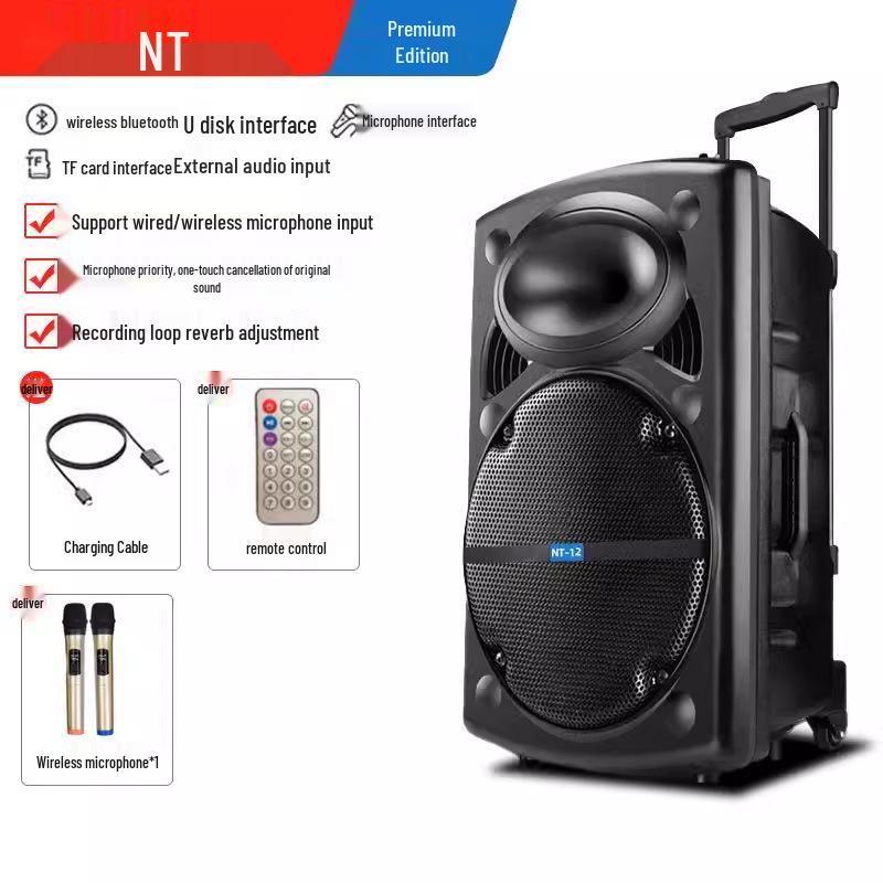 12-Inch Portable Bluetooth Speaker with High Volume for Outdoor Events and Karaoke