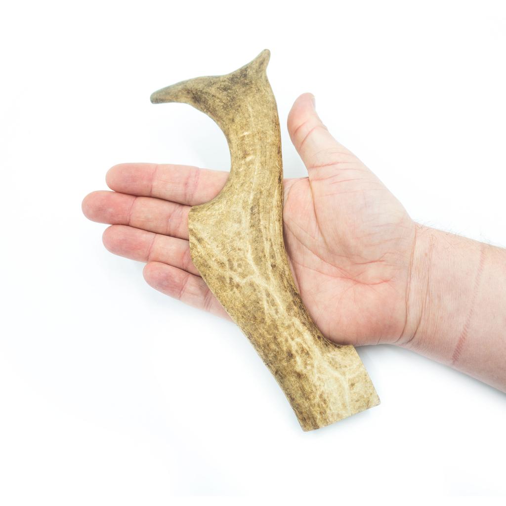 4DOGS Fallow Deer Antler Chew Toy, Size XL, Hard