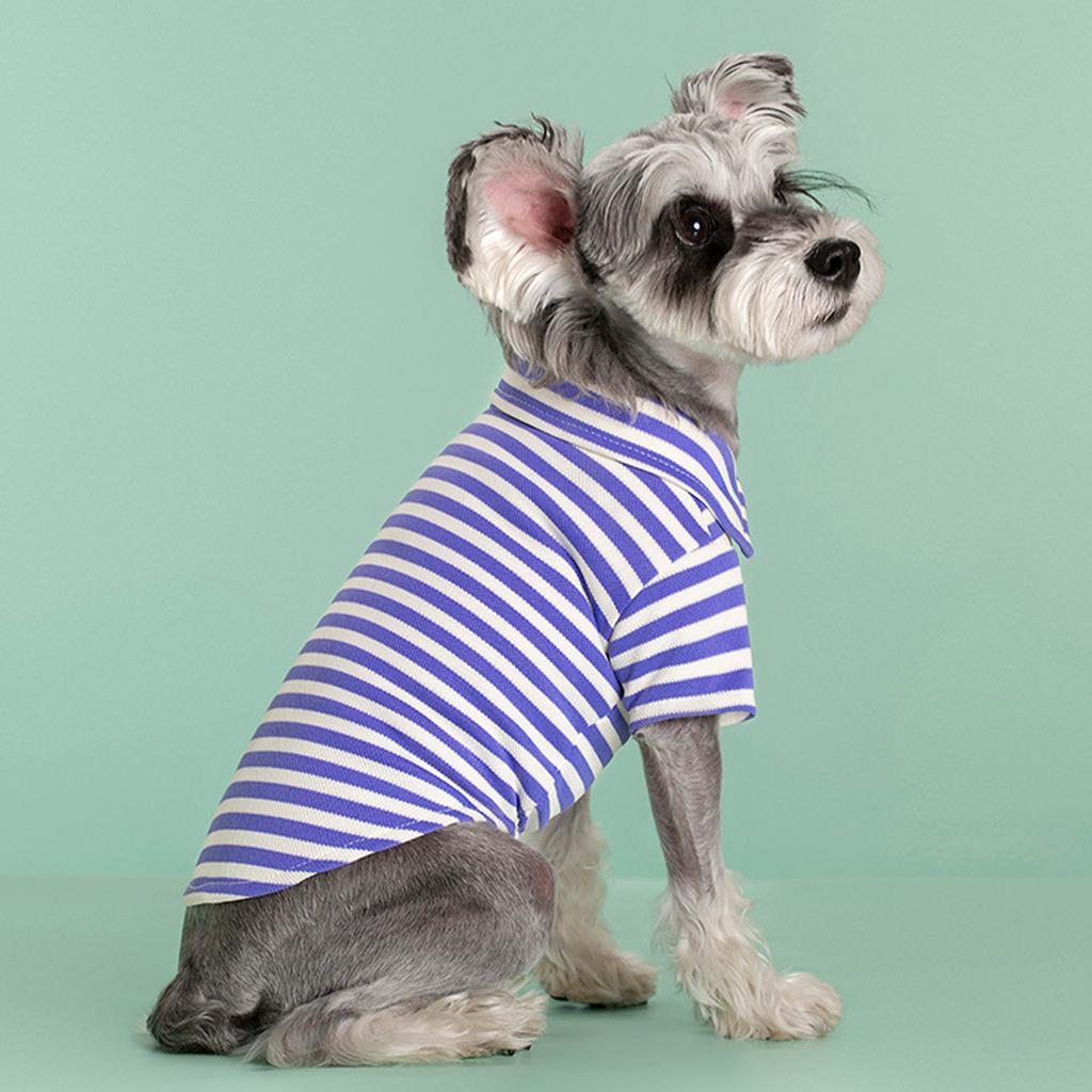 Stylish Color Block Dog Sweater Warm And Fashionable Winter Dog Clothes For Small Medium Dogs Winter Warm Doggie Sweater