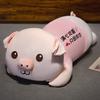 New Pig Doll Plush Toy Girl Hug Bear Doll Sleep Pillow Bed Rag Doll Large Birthday Gift