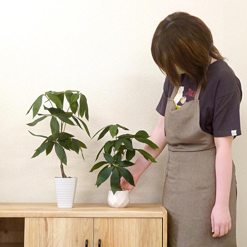 Ниниан и Кино Искусственная зеленая пахира в 35-сантиметровом керамическом горшке Реалистичное растение, не требующее ухода Не вянет Декоративное для дома Идеально для гостиной